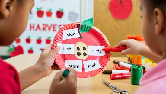 A colorful paper plate craft showing parts of an apple, labeled skin, flesh, seeds, stem, and leaf, for apple crafts for preschoolers.