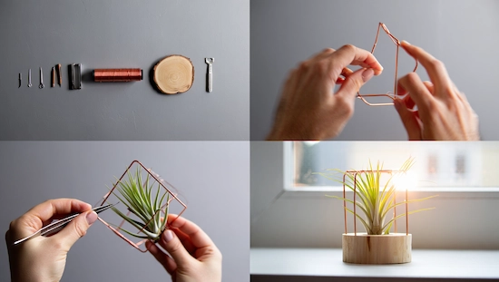 A step-by-step diy air plant holders tutorial showing tools, wire shaping, plant placement, and a finished modern geometric holder.