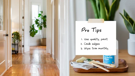 Bright hallway with flawless diy door trim molding, tray of pro care tips, eco-friendly cleaner, paintbrush, and houseplants in sunlight.


